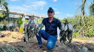 Slingshot M72 - Trãi Nghiệm Săn Di Động Trên Sông || Hunting for Storks on the River