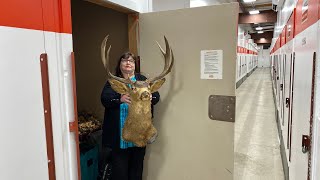 I Bought An Abandoned Storage Unit.. Found Deer And VINTAGE Sports Cards!