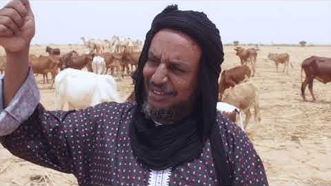 Being an agro-pastoral mediator in Niger - 2