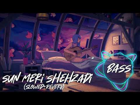 Sun Meri Shehzadi