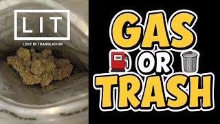 💨 $50 OUNCE from LIT FARMS?! | Grape Cream Cake THCA Flower Review 🍇🔥 | Gas or Trash?!