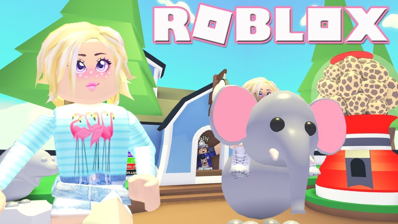 Ashleyosity Roblox Adopt Me New Safari Pets