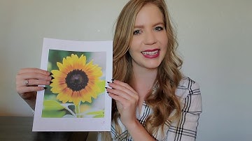 Introduction to Pointillism/ Stippling and Color Theory with Rebecca