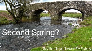 Second Spring Scottish Small Stream Fly Fishing