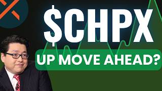 CHPX Stock Analysis,  Global X AI Semiconductor & Quantum ETF