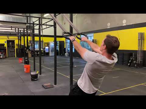 Face Pulls (Rings Suspension)