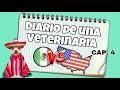 ¿MÉXICO O USA? | SEMANA 4 | DIARIO DE UNA VETERINARIA