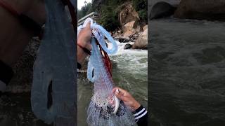 Perfect Cast Cast Net Fishing For Snow Trout