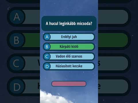hqdefault