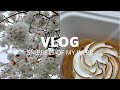 VLOG | Snippets of my Week