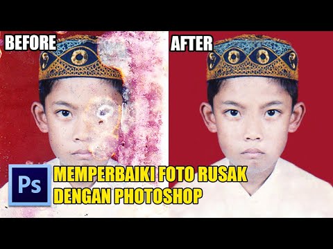 Video: Cara Mereproduksi Foto