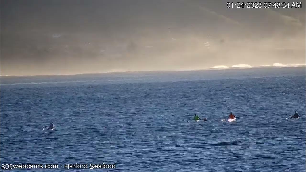 Avila Beach Morning Outrigger Pale Kai? cam Recap YouTube