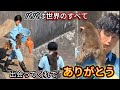 パパが僕の全世界!大好きなパパに甘えるパンチくん🐒❤️#パンチくん #感動動画 #市川市動植物園 #パパ