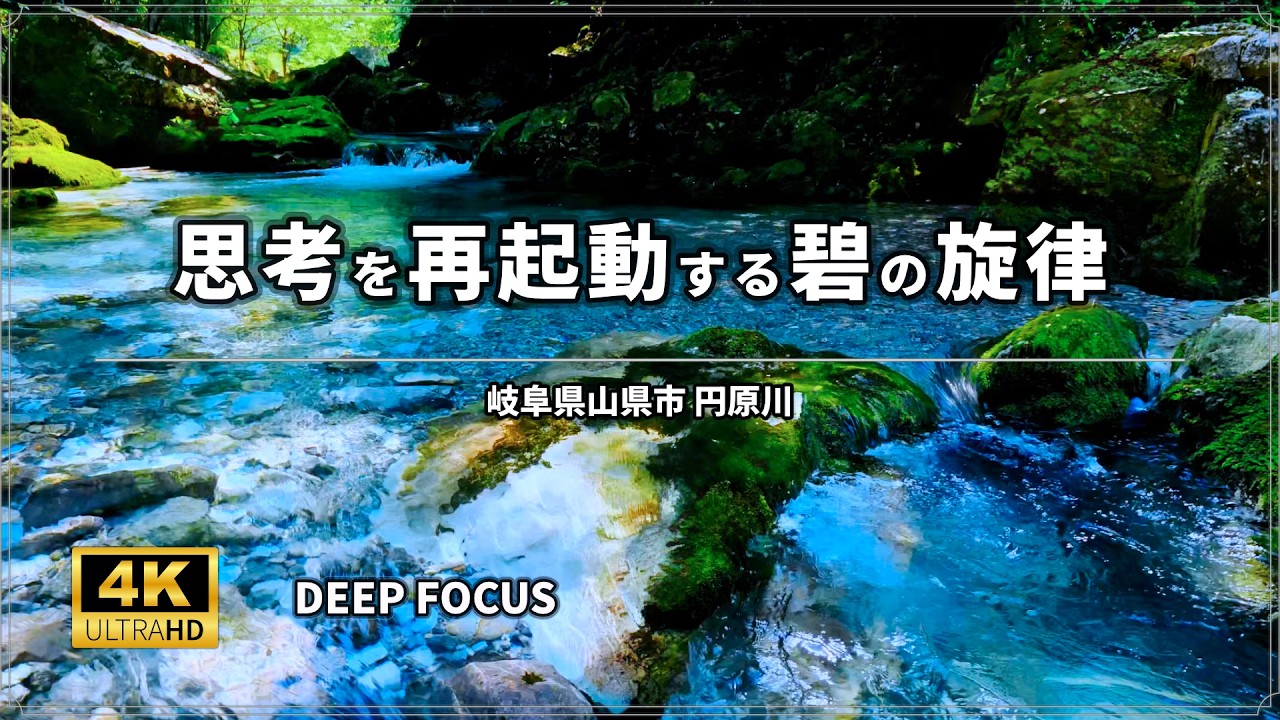 【集中・作業用BGM 3時間】思考が澄みわたる｜円原川、新緑の森と湧水のせせらぎ ASMR