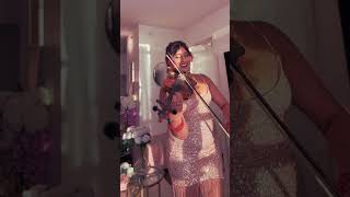 Life of a Showgirl Bridgerton Style #violinist #taylorswift #lifeofashowgirl #cover #musician