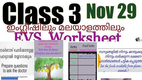 Class 3 Evs worksheet November 29| രുചിയോടെ കരുത്തോടെ with taste with health|victers 3