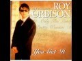 Roy Orbison - You Got It (Chris' Doting Mix)