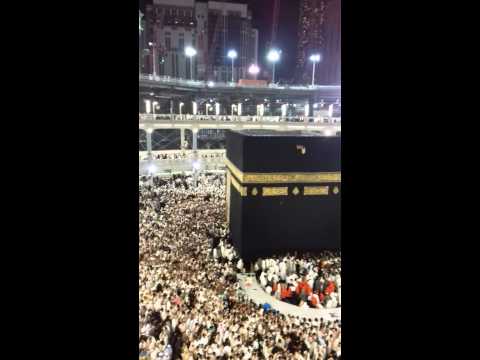 أجمل ما رات عيني