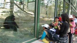 20100119動物園.wmv