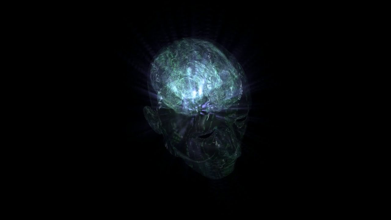 Brain knowledge - YouTube