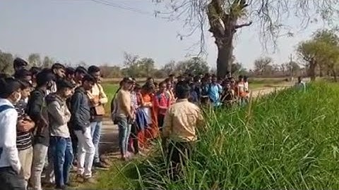 Package of Practices Of Wheat//Wheat Crop Production