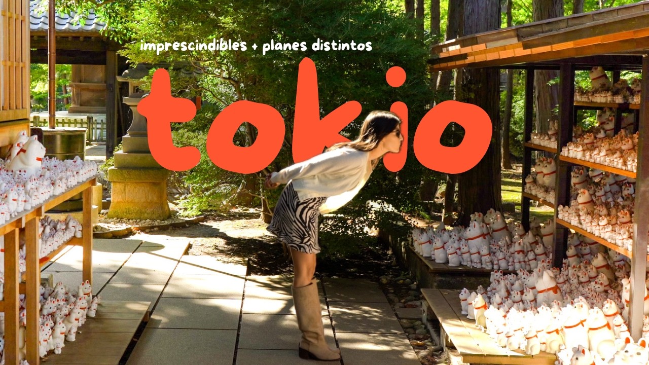 Vlog planes distintos en TOKIO templo gatos de la fortuna, compras y restaurantes Ruta 20 días Japón