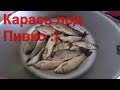 Сушоный КАРАСЬ. Как засушить карася