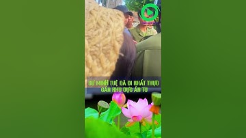 Sáng 13/6 Sư Minh Tuệ Đi Khất Thực Tại Nơi Ẩn Tu #shortvideo #thichminhtue