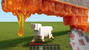 Realistic Honey vs Sheep (will it Escape?) - Real Life Compilation