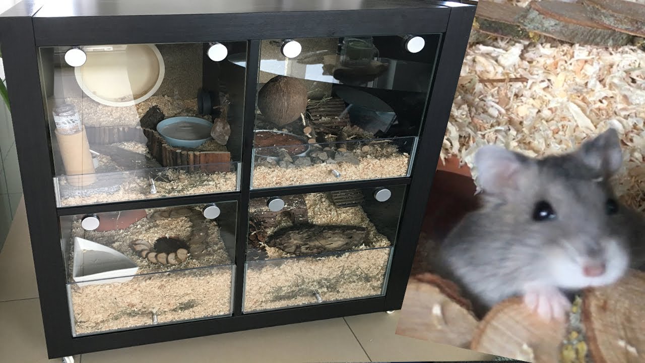 Hamster Käfig aus IKEA Regal (zu verkaufen) | DIY Tutorial für Kleintier  Käfig | KALLAX / EXPEDIT - YouTube