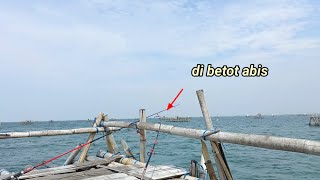 slalu bikin candu kalo ikan ini makan ll mancing bagan tanjung kait