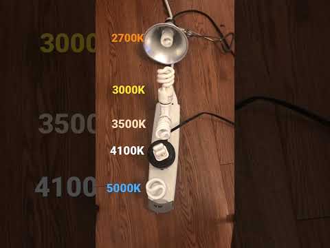 Video: LED lampu krāsu temperatūra: tabula