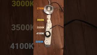 5000K Vs. 4100K Vs. 3500K Vs. 3000K Vs. 2700K CFL Comparison #shorts #cfl #colortemperature screenshot 3