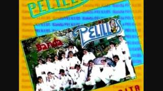 BANDA PELILLOS --A PEDIR SU MANO........