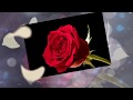 The Rose 【SARASA SINGS】