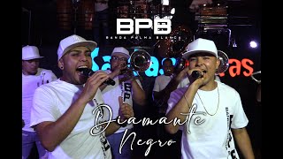 Diamante Negro - Banda Palma Blanca