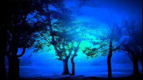 سورة التغابن ...بصوت جميل للقارىء سمير البشيري