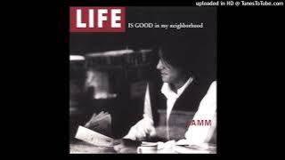 Robert Lamm - When the Rain Becomes (1995)