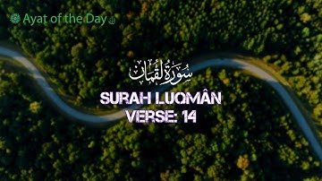 Surat Luqman (31: Luqman) Ayat: 14 | سورة  لقمان |