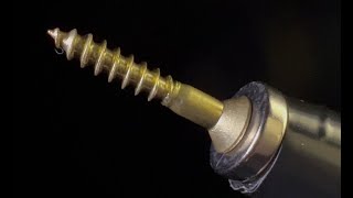 Everbilt Brass Wood Screw #8 x 1"