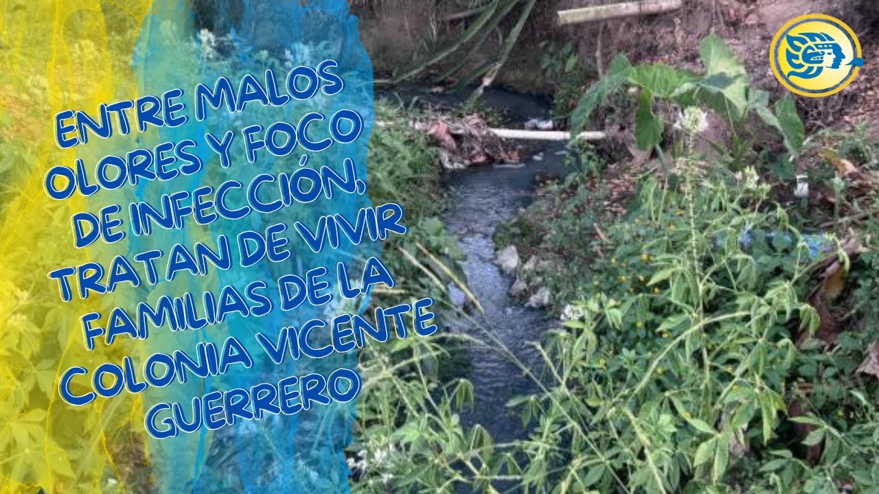 Entre malos olores y foco de infección, tratan de vivir familias de la ...