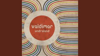 Miniatura del video "Valdimar - Þessir menn"