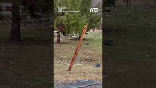 Severe Weather Causes Damage to Homes and Fallen Trees in Illinois