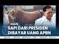 🔴PRESIDEN PRABOWO SALURKAN 1098 EKOR KURBAN ke Seluruh Indonesia, Pakai APBN Tembus Rp 100 M