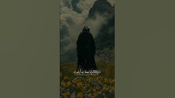 وإذ قال إبراهيم ربي أرني كيف تحيي الموتى :- محمد ديبيرؤف 😴🎧 تلاوة خاشعة قرآن كريم 🍁