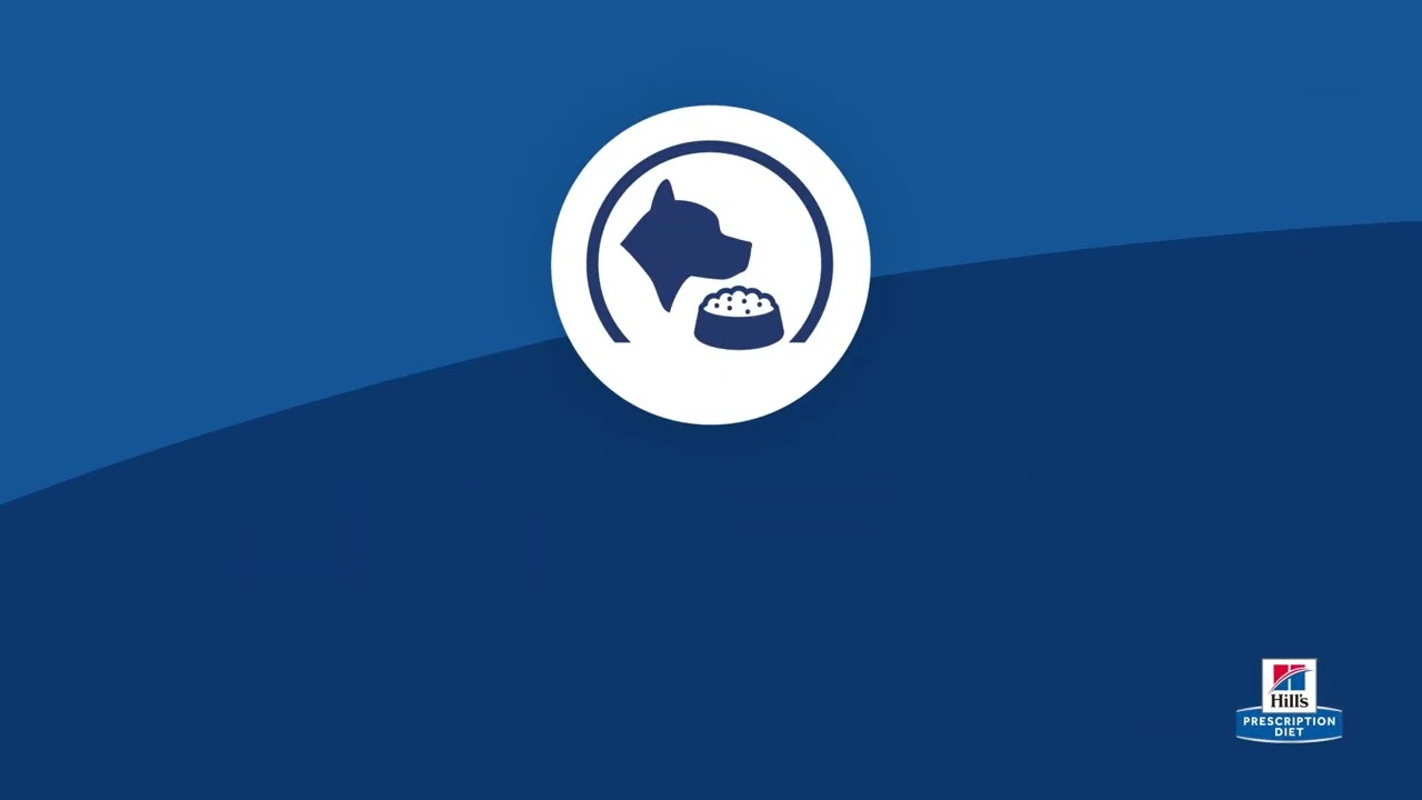Hill's Prescription Diet ON-Care - voeding ter ondersteuning van honden met ernstige ziektes
