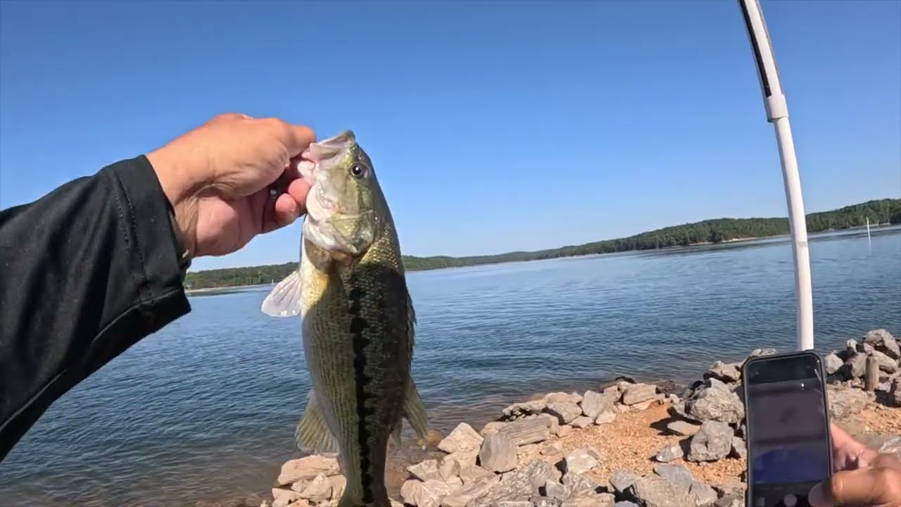 Lake Allatoona Bass Fishing – Galts Ferry-9/12/2025
