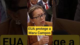 Periodista exhibe la verdad sobre Rocha Moya "protegen a Maru Campos" #usa #ultimahora #noticias