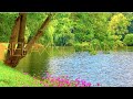 Relaxing Piano Music 🍀 Soft Piano Music 🍀 Piano Music For Stress Relief 🍀  Meditation Piano Music