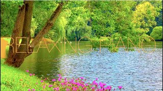 Relaxing Piano Music 🍀 Soft Piano Music 🍀 Piano Music For Stress Relief 🍀  Meditation Piano Music